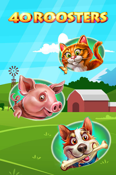 40 Roosters